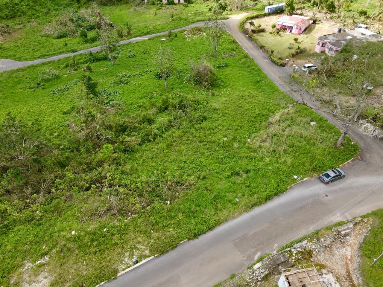 Fourth image of Lot 4- Belfield in Bellefield, Manchester, Jamaica - property is For Sale