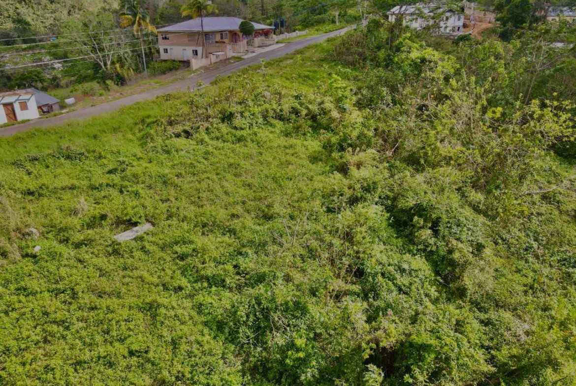 Fifth image of Lot 4- Belfield in Bellefield, Manchester, Jamaica - property is For Sale