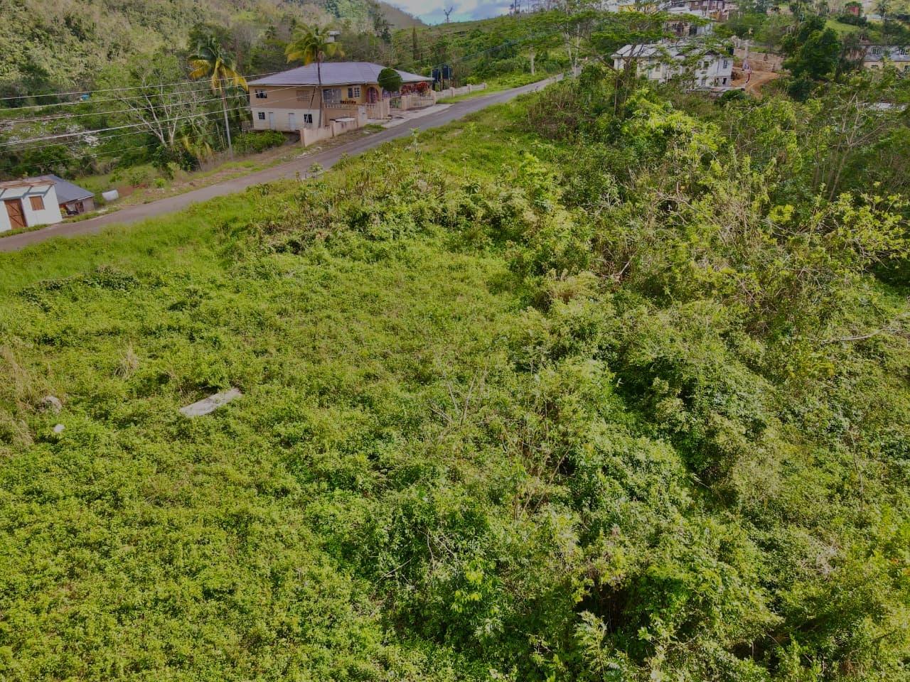 Fifth image of Lot 4- Belfield in Bellefield, Manchester, Jamaica - property is For Sale