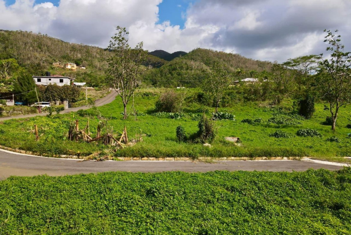 Sixth image of Lot 4- Belfield in Bellefield, Manchester, Jamaica - property is For Sale