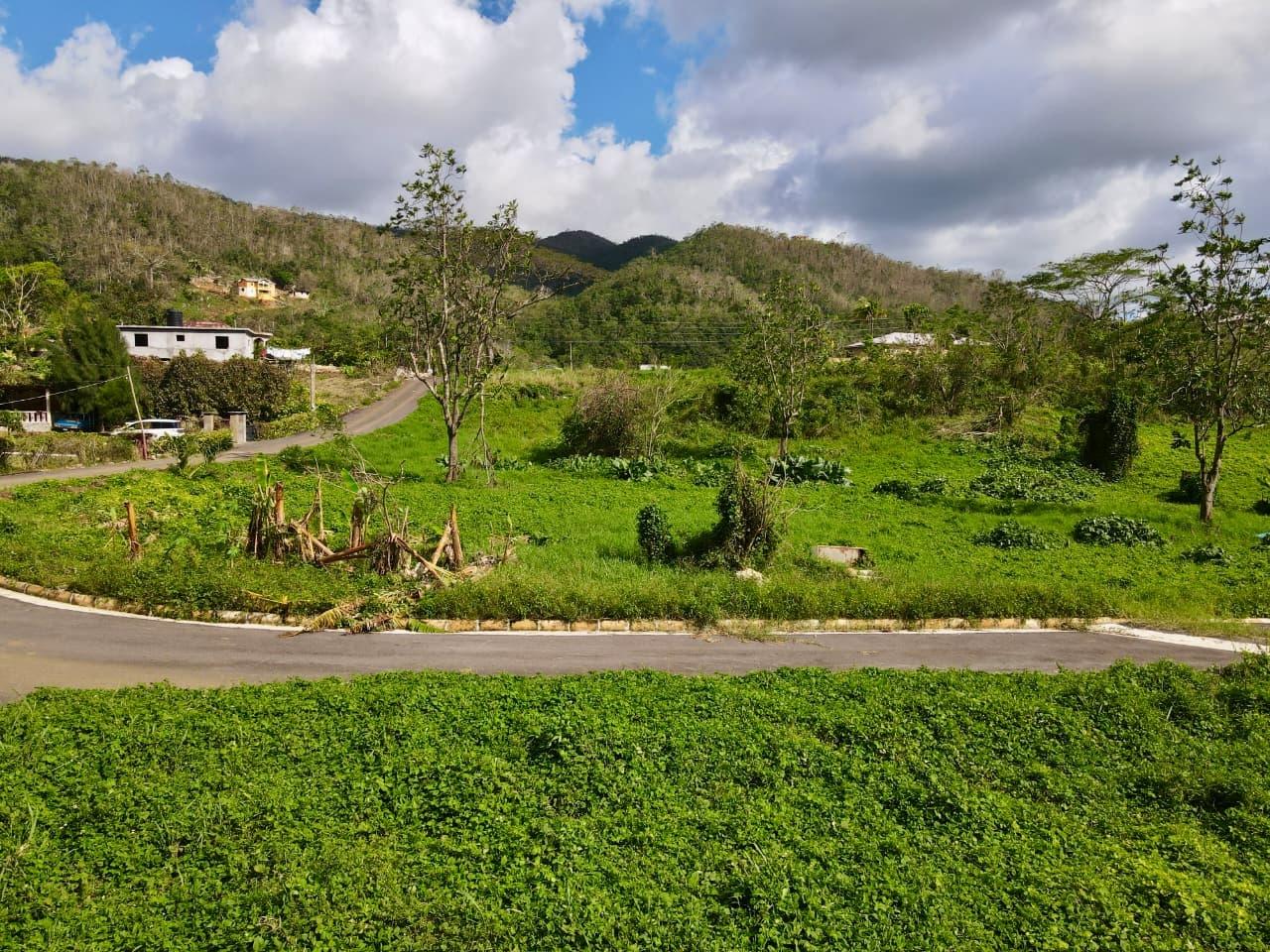 Sixth image of Lot 4- Belfield in Bellefield, Manchester, Jamaica - property is For Sale