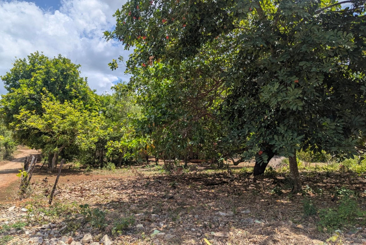 Second image of Belle Plain in Belle Plain, Clarendon, Jamaica - property is For Sale