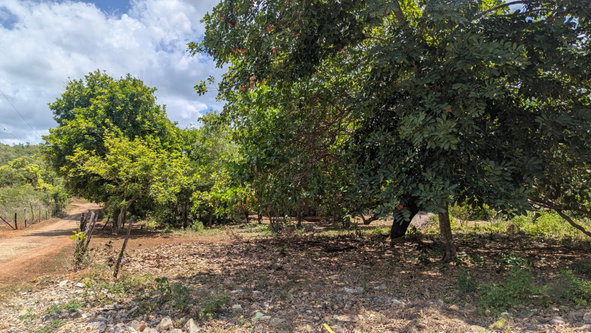 Second image of Belle Plain in Belle Plain, Clarendon, Jamaica - property is For Sale