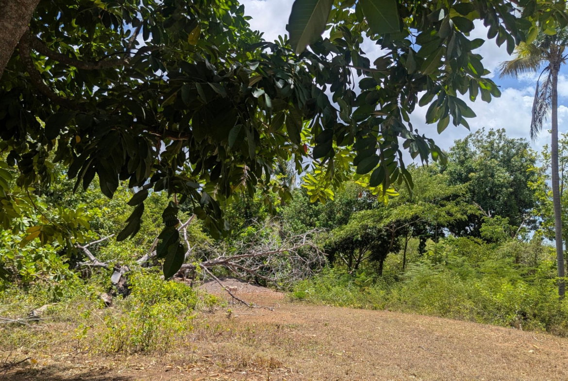 Third image of Belle Plain in Belle Plain, Clarendon, Jamaica - property is For Sale