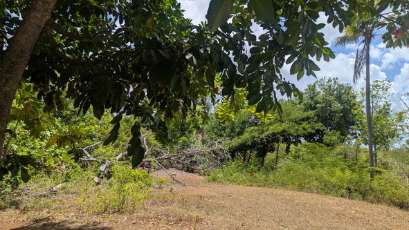 Third image of Belle Plain in Belle Plain, Clarendon, Jamaica - property is For Sale