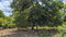 First image of Belle Plain in Belle Plain, Clarendon, Jamaica - property is For Sale
