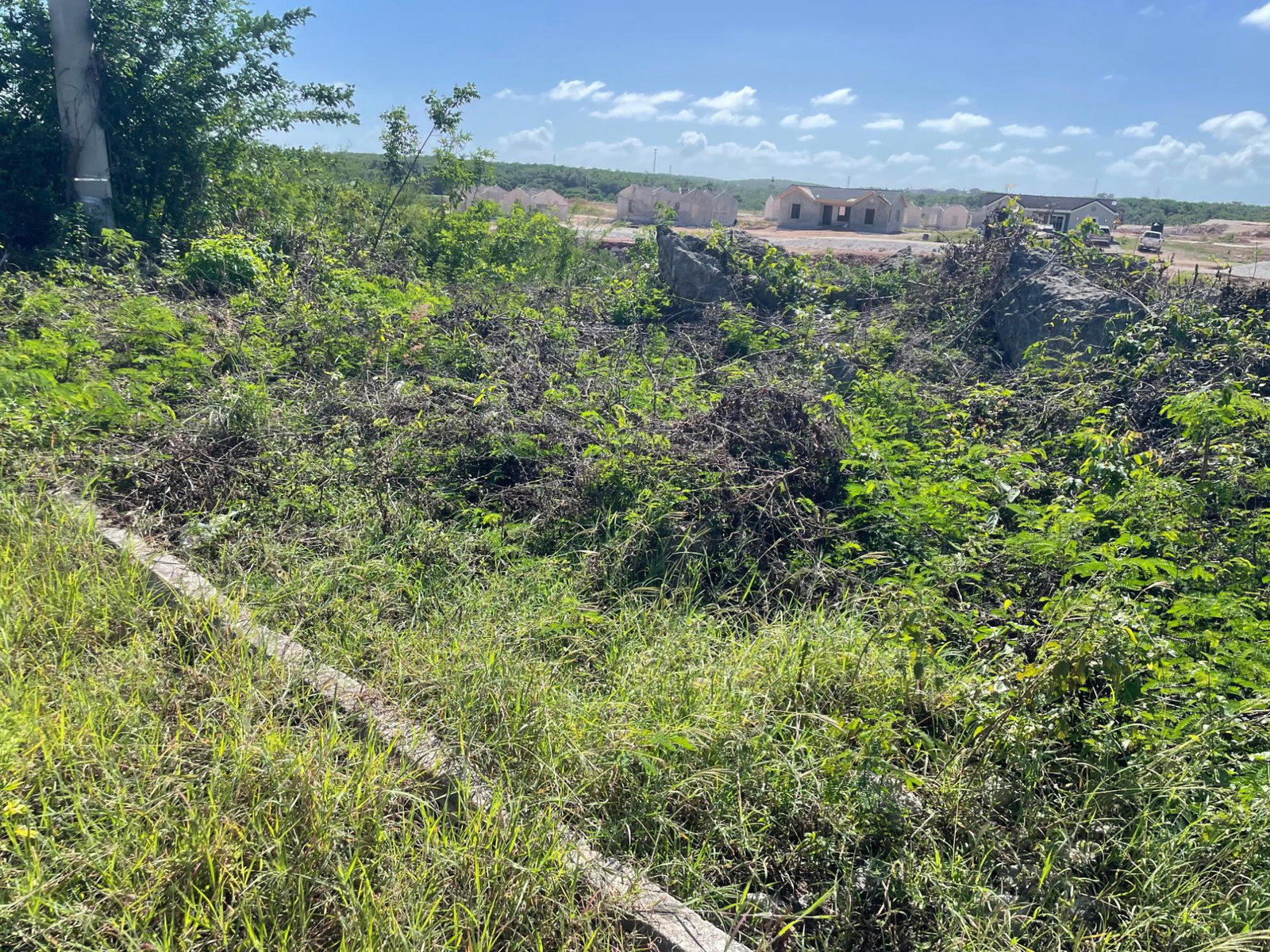 Second image of 105 Toby Abbots Block b in Freetown, Clarendon, Jamaica - property is For Sale