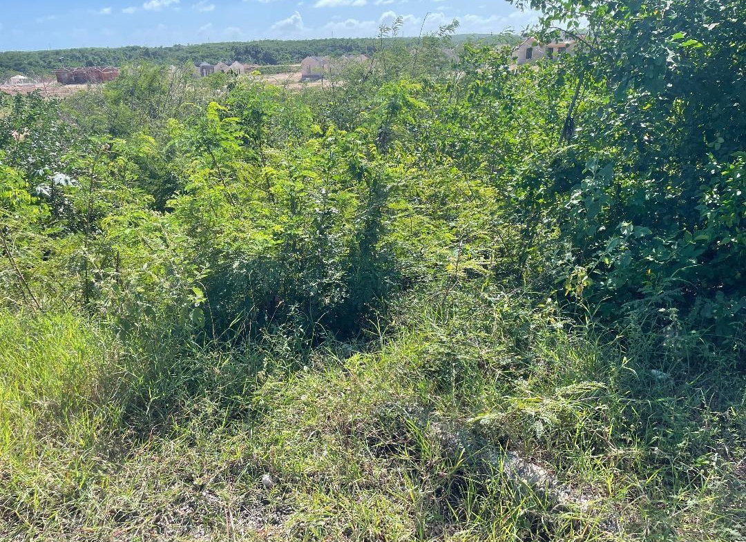 Third image of 105 Toby Abbots Block b in Freetown, Clarendon, Jamaica - property is For Sale