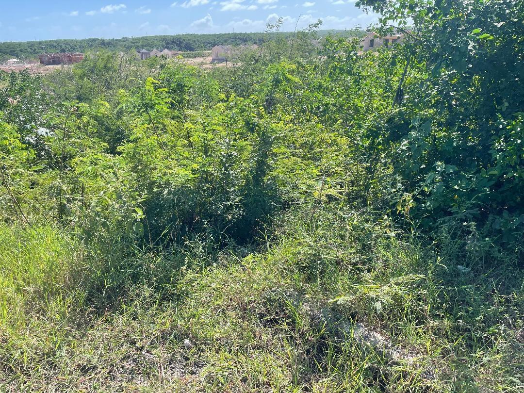 Third image of 105 Toby Abbots Block b in Freetown, Clarendon, Jamaica - property is For Sale