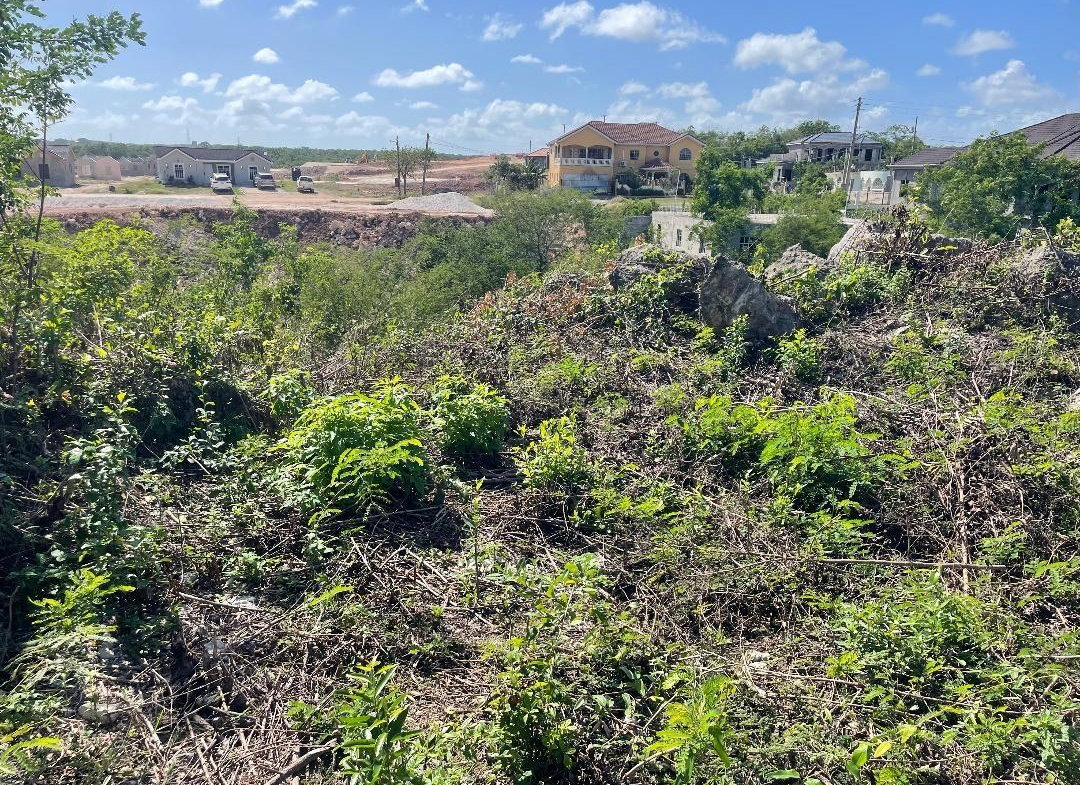 Fourth image of 105 Toby Abbots Block b in Freetown, Clarendon, Jamaica - property is For Sale