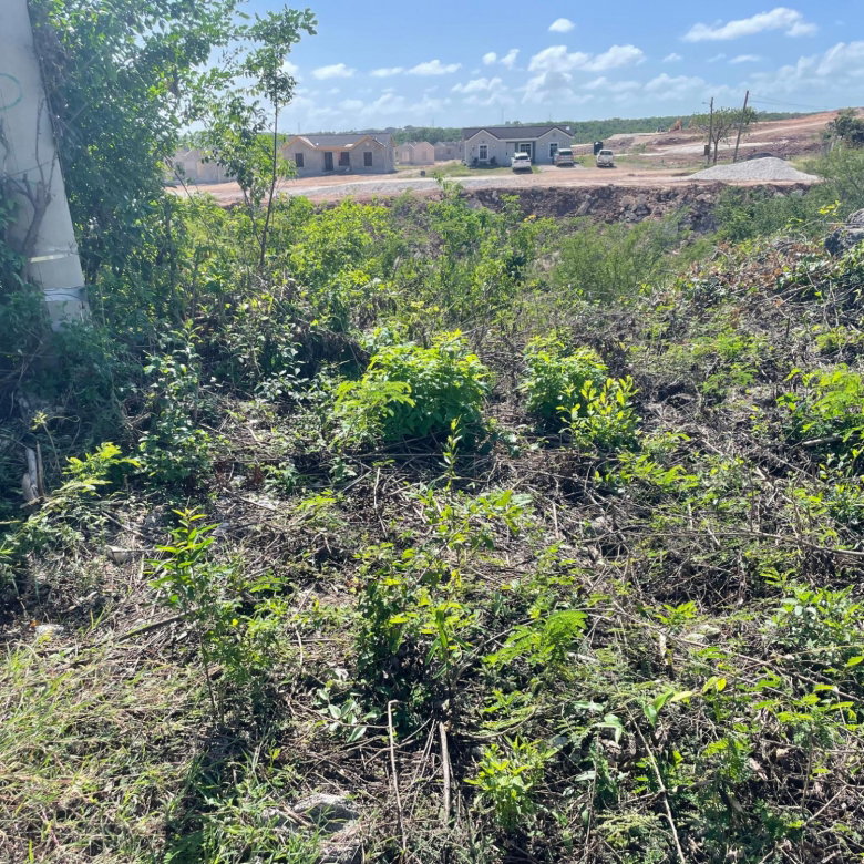 First image of 105 Toby Abbots Block b in Freetown, Clarendon, Jamaica - property is For Sale