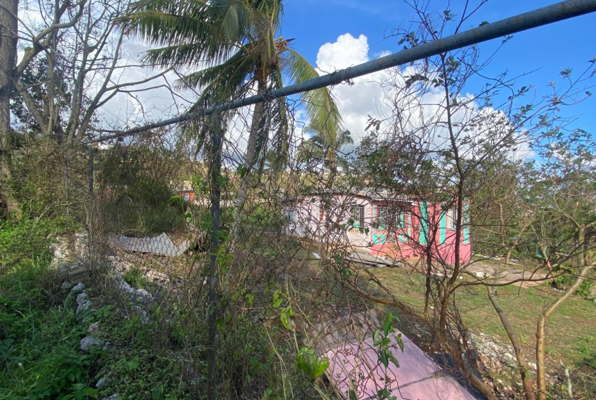 Twelfth image of Comfort, Broadleaf in Broadleaf, Manchester, Jamaica - property is For Sale