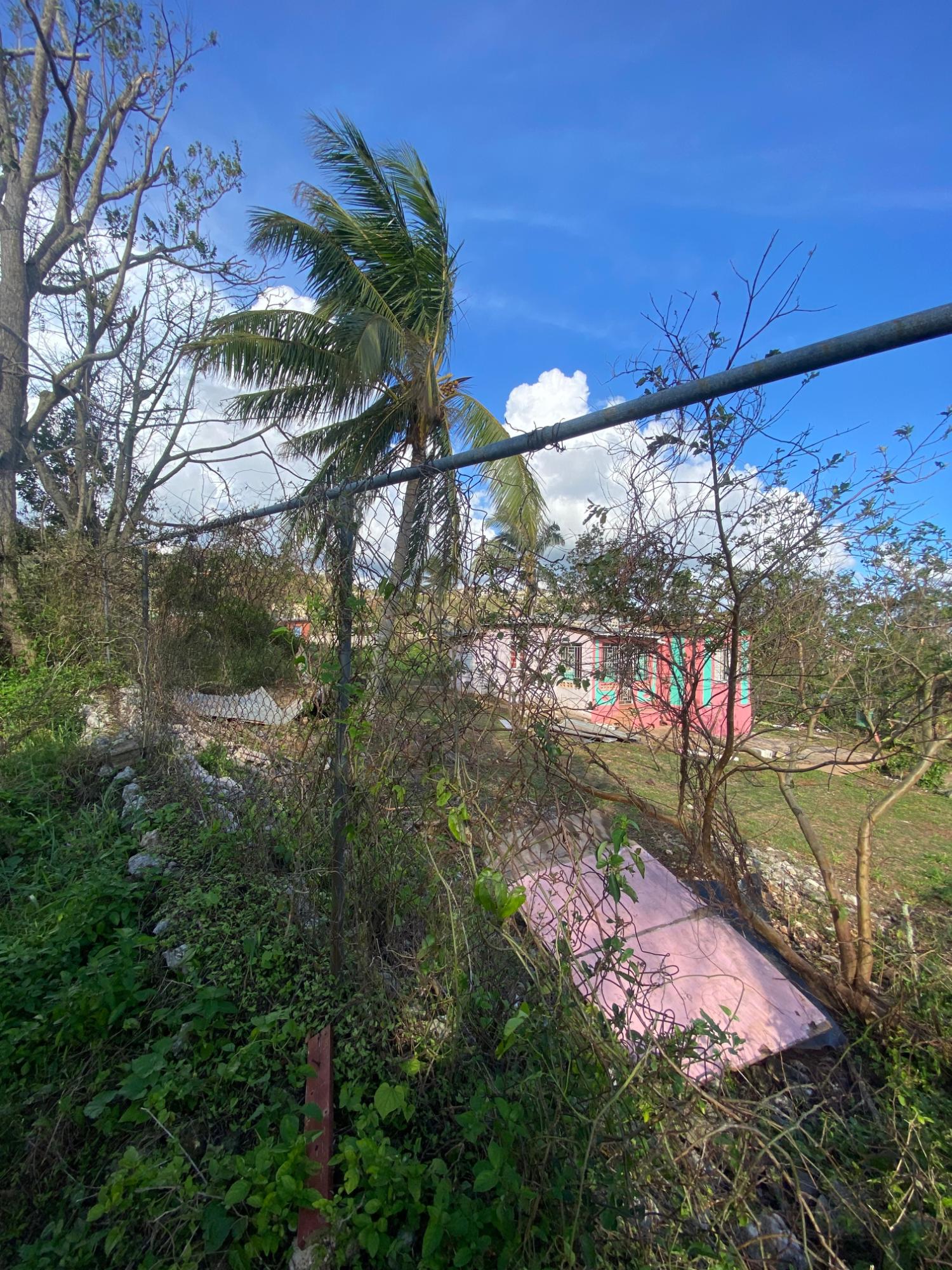 Twelfth image of Comfort, Broadleaf in Broadleaf, Manchester, Jamaica - property is For Sale