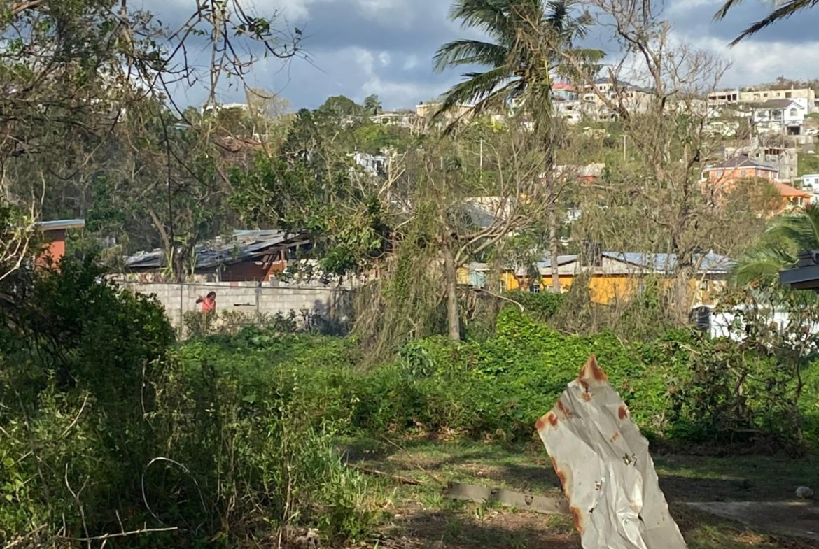 Thirteenth image of Comfort, Broadleaf in Broadleaf, Manchester, Jamaica - property is For Sale