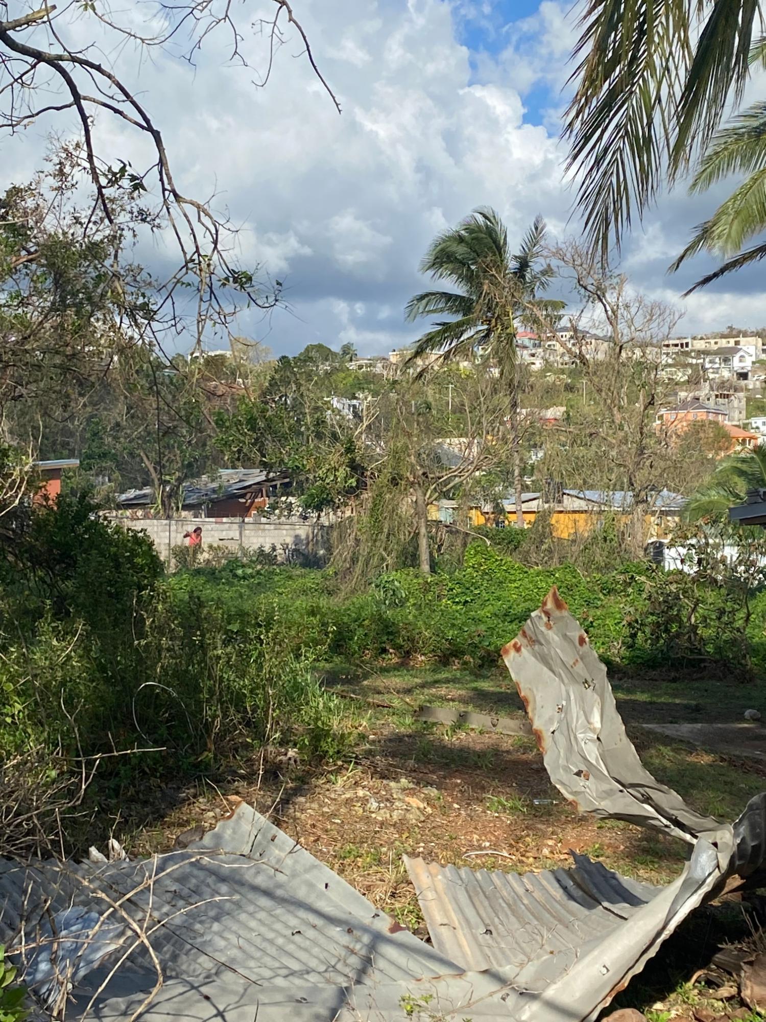 Thirteenth image of Comfort, Broadleaf in Broadleaf, Manchester, Jamaica - property is For Sale