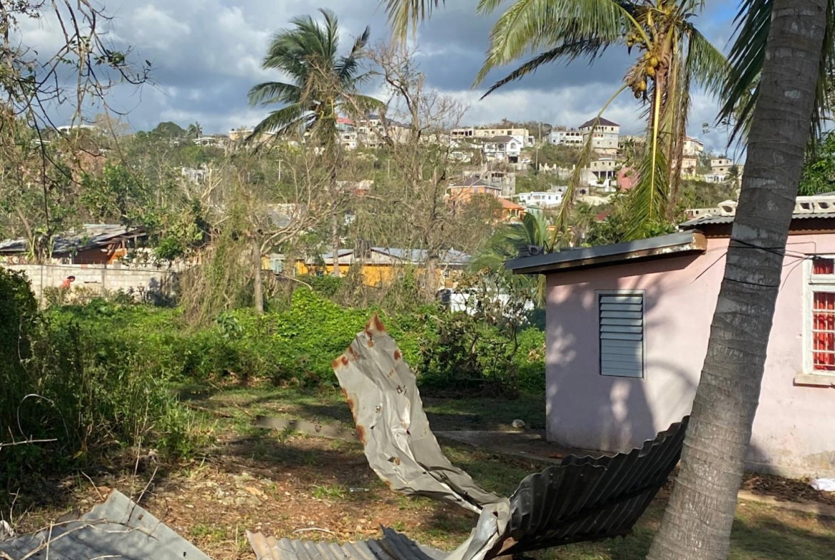 Fourteenth image of Comfort, Broadleaf in Broadleaf, Manchester, Jamaica - property is For Sale