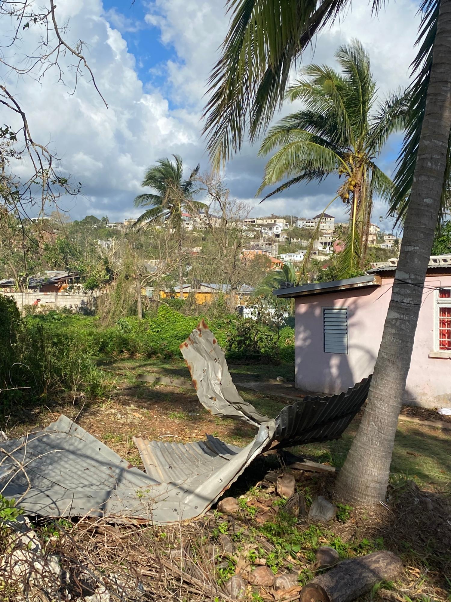 Fourteenth image of Comfort, Broadleaf in Broadleaf, Manchester, Jamaica - property is For Sale