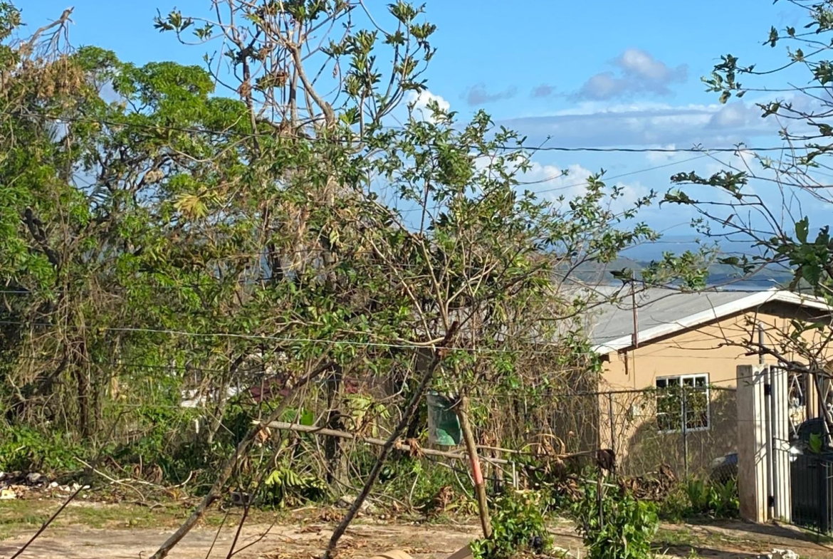 Fifteenth image of Comfort, Broadleaf in Broadleaf, Manchester, Jamaica - property is For Sale