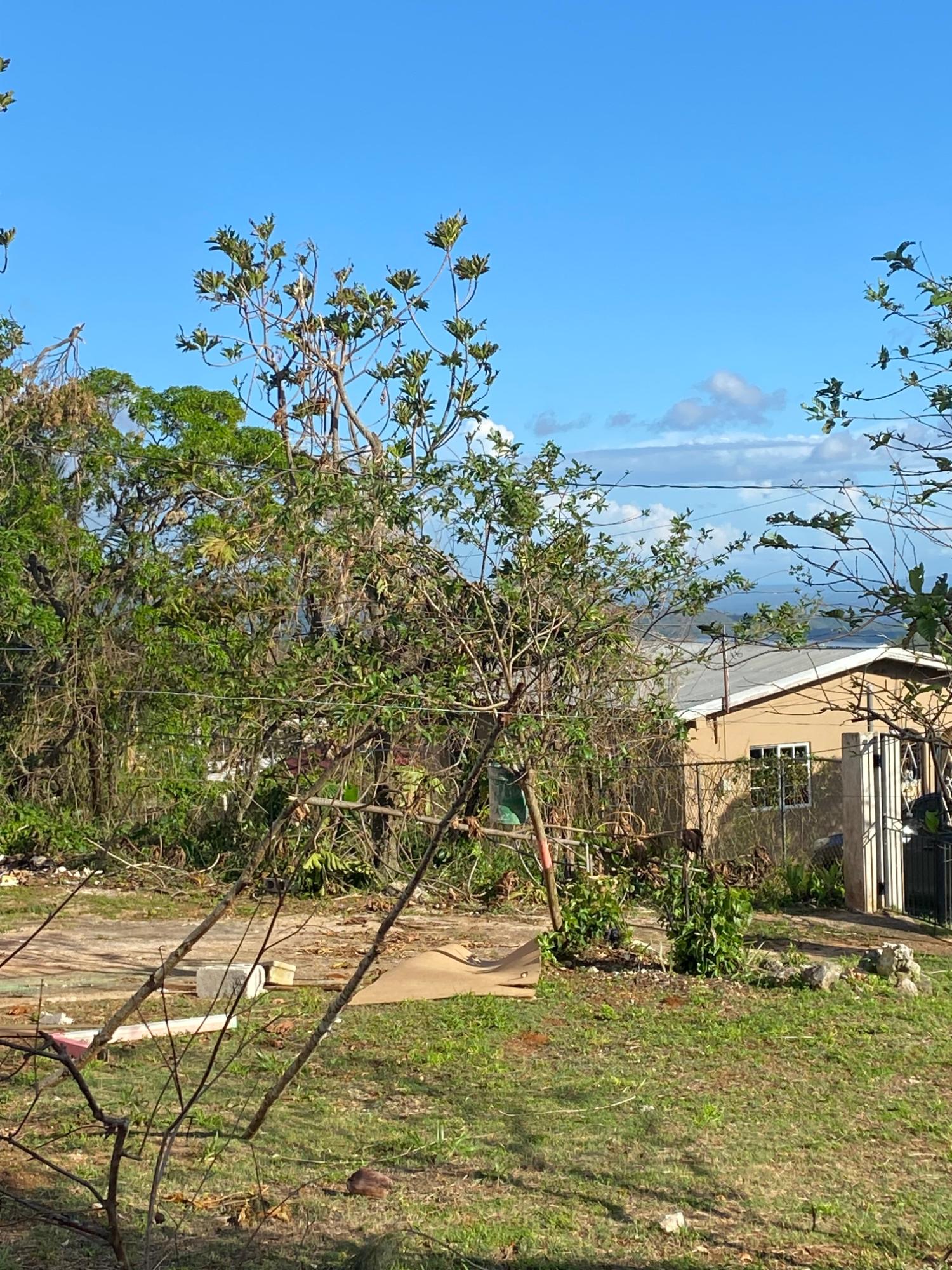 Fifteenth image of Comfort, Broadleaf in Broadleaf, Manchester, Jamaica - property is For Sale