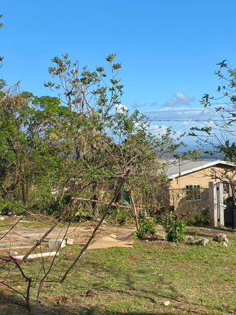 Fifteenth image of Comfort, Broadleaf in Broadleaf, Manchester, Jamaica - property is For Sale