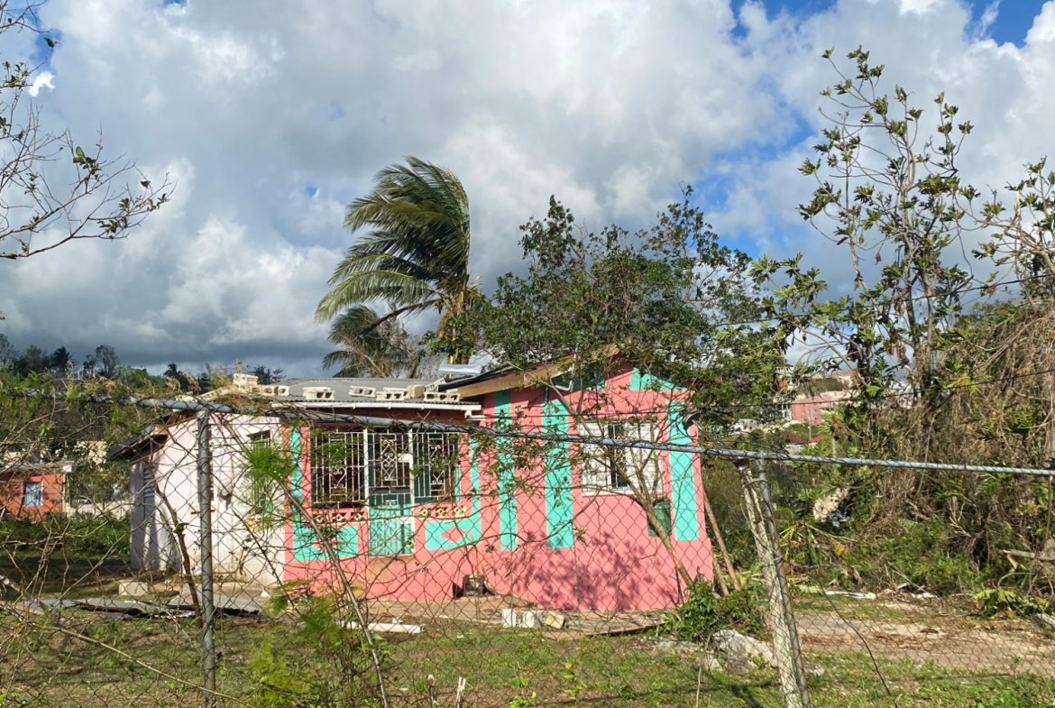 Sixteenth image of Comfort, Broadleaf in Broadleaf, Manchester, Jamaica - property is For Sale