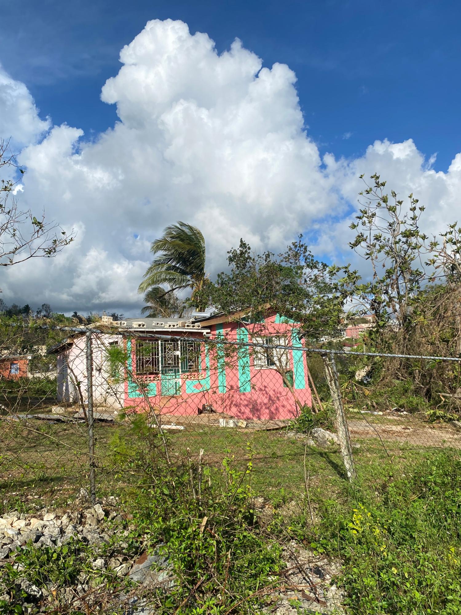 Sixteenth image of Comfort, Broadleaf in Broadleaf, Manchester, Jamaica - property is For Sale