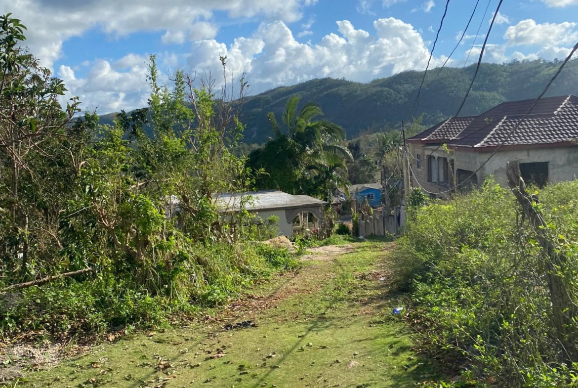 Seventeenth image of Comfort, Broadleaf in Broadleaf, Manchester, Jamaica - property is For Sale