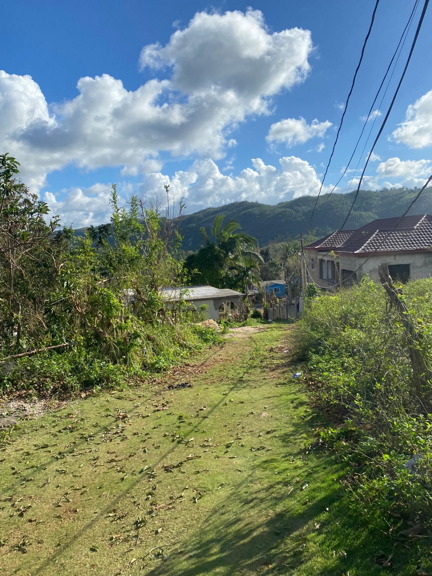 Seventeenth image of Comfort, Broadleaf in Broadleaf, Manchester, Jamaica - property is For Sale