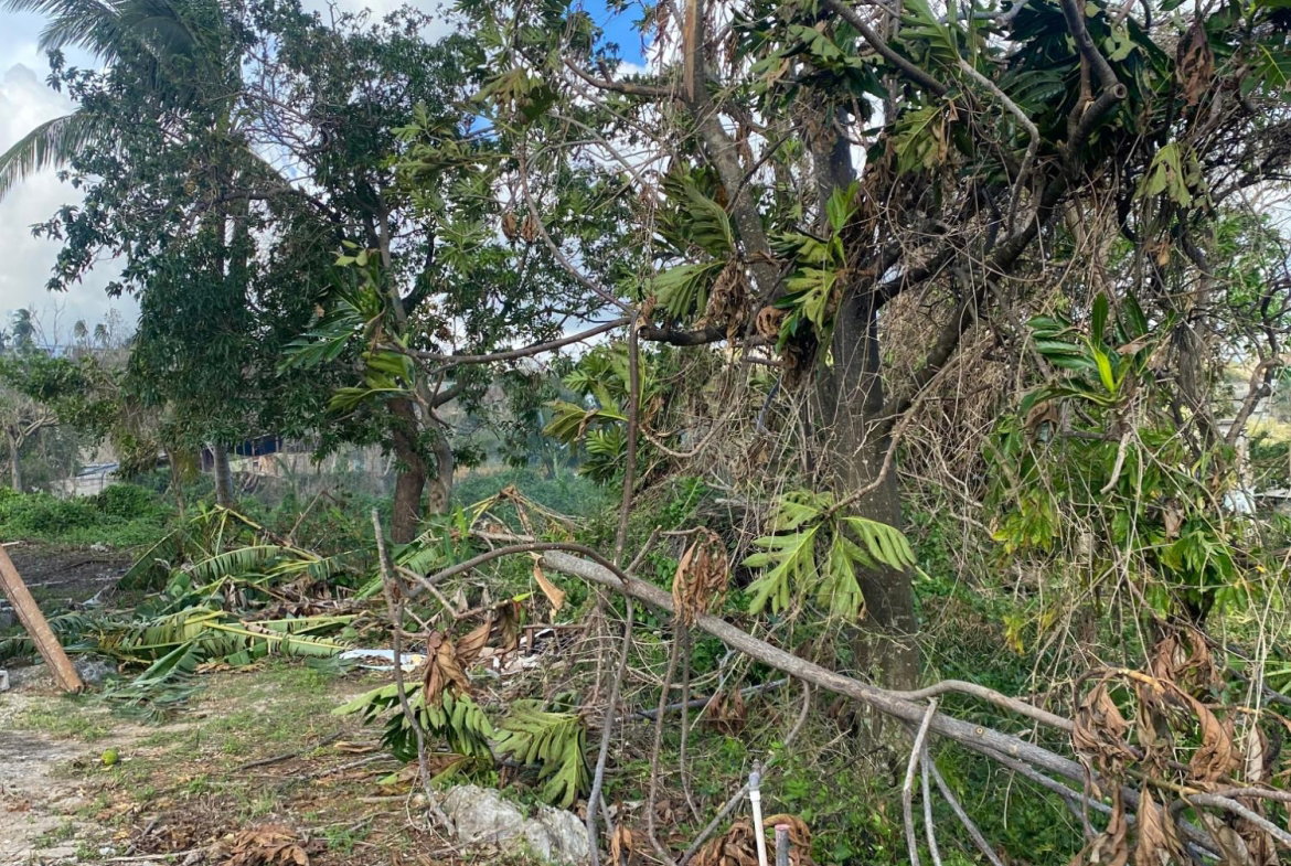 Fourth image of Comfort, Broadleaf in Broadleaf, Manchester, Jamaica - property is For Sale