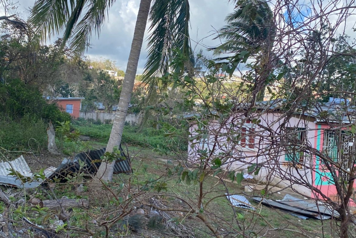 Fifth image of Comfort, Broadleaf in Broadleaf, Manchester, Jamaica - property is For Sale