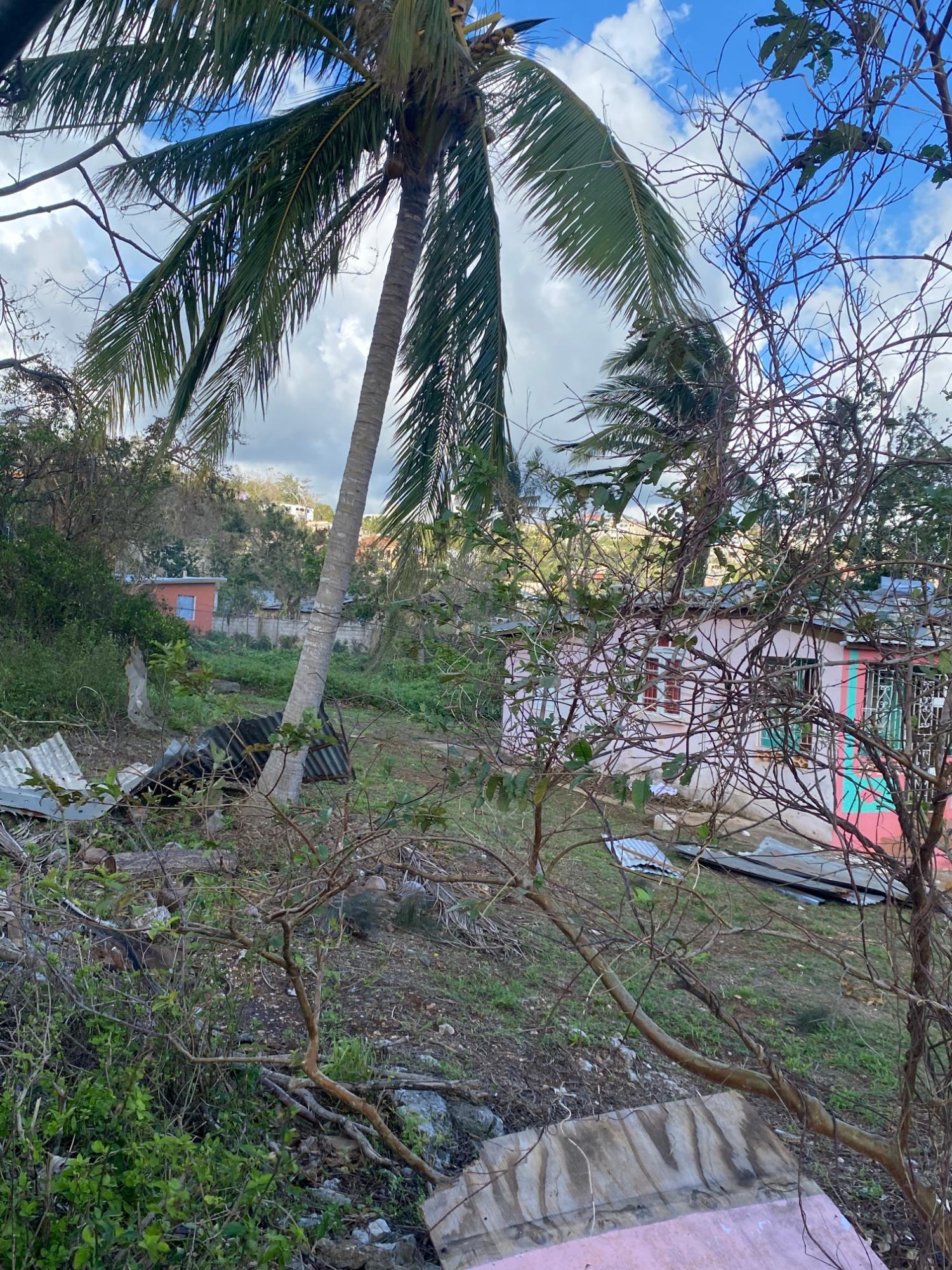 Fifth image of Comfort, Broadleaf in Broadleaf, Manchester, Jamaica - property is For Sale