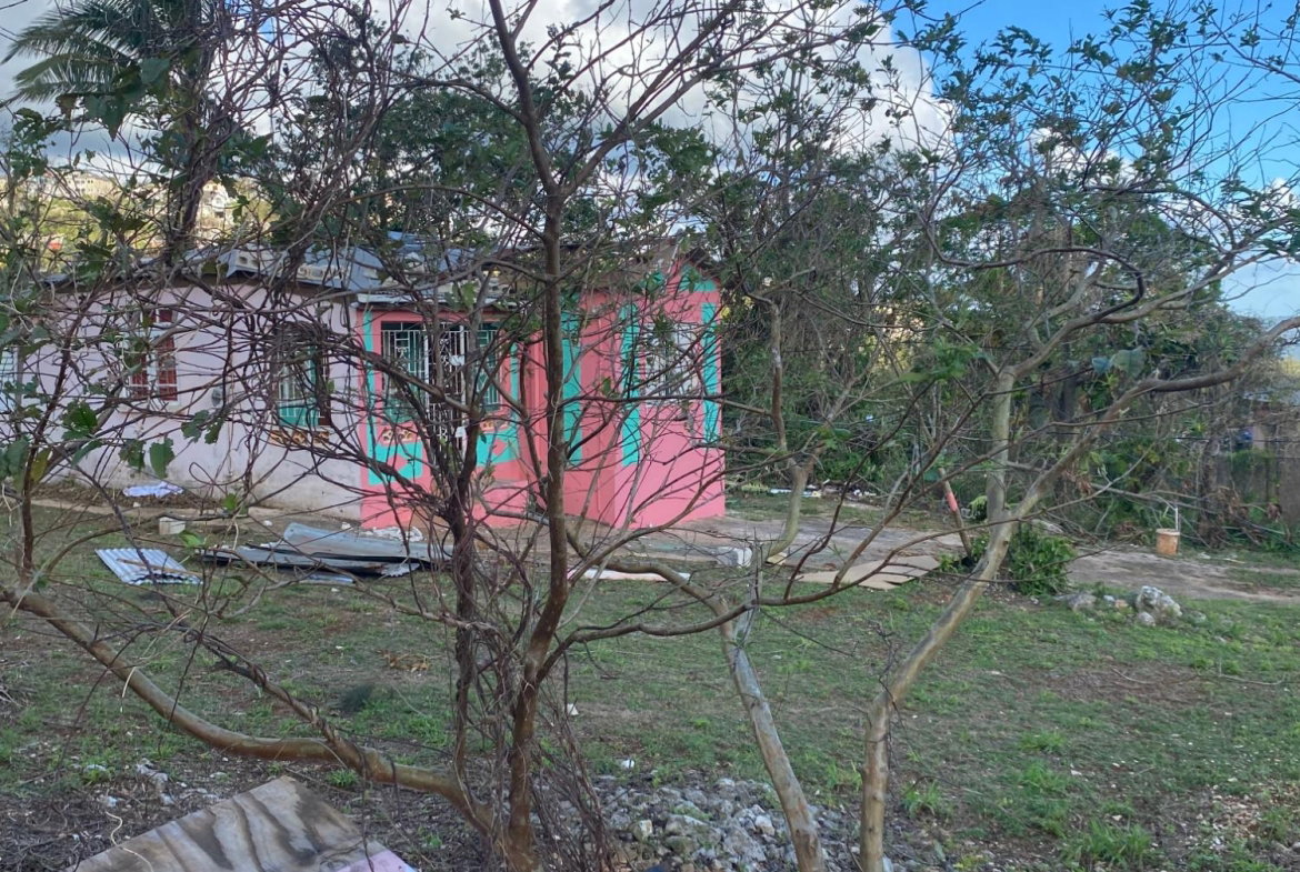Sixth image of Comfort, Broadleaf in Broadleaf, Manchester, Jamaica - property is For Sale
