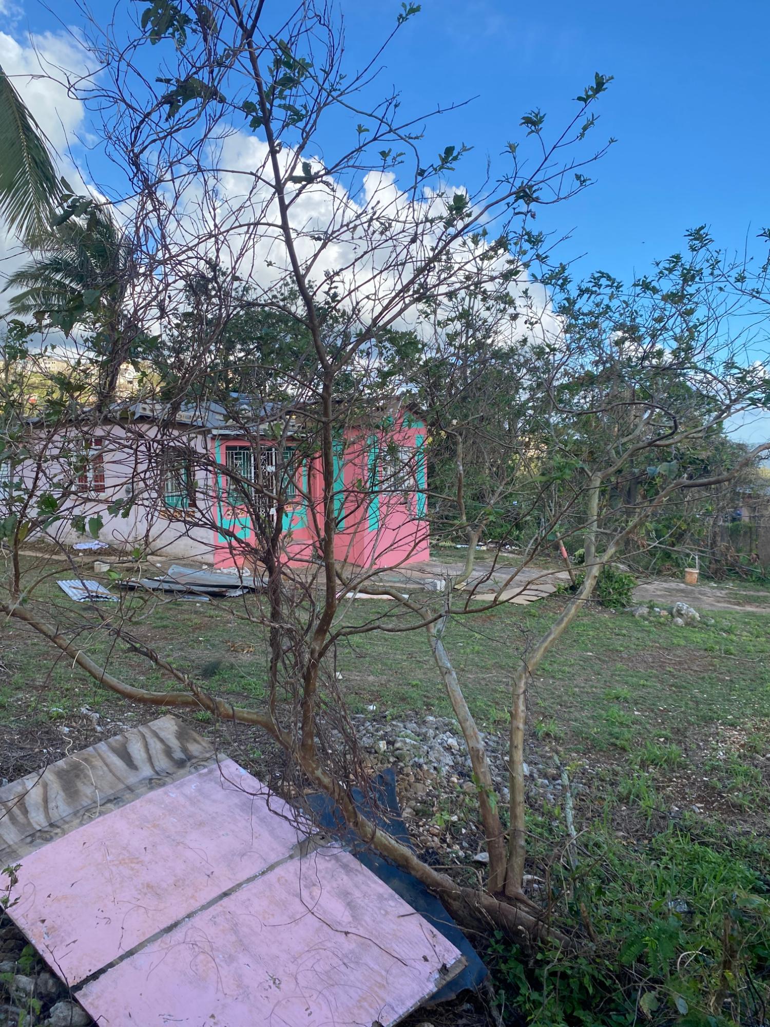 Sixth image of Comfort, Broadleaf in Broadleaf, Manchester, Jamaica - property is For Sale