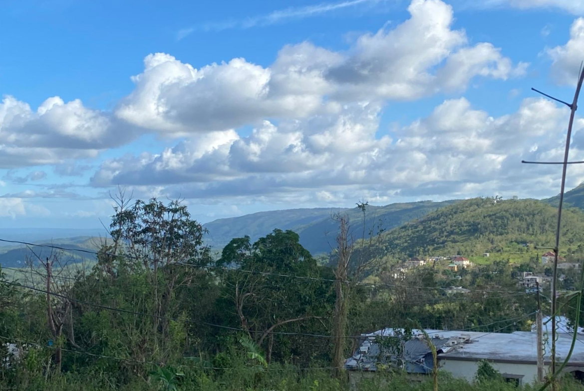 Seventh image of Comfort, Broadleaf in Broadleaf, Manchester, Jamaica - property is For Sale