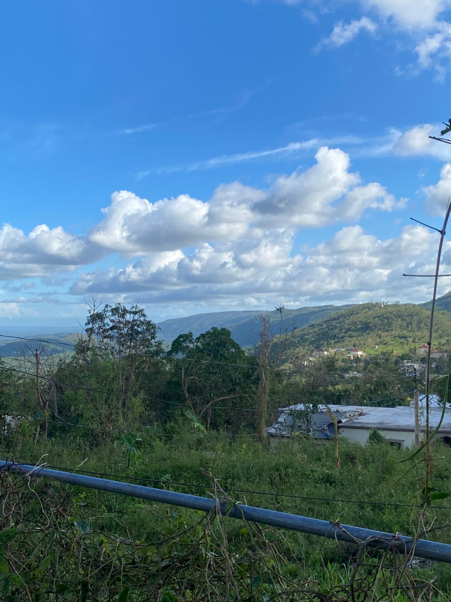 Seventh image of Comfort, Broadleaf in Broadleaf, Manchester, Jamaica - property is For Sale