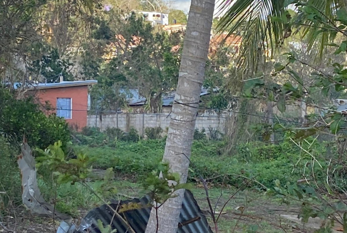 Eighth image of Comfort, Broadleaf in Broadleaf, Manchester, Jamaica - property is For Sale
