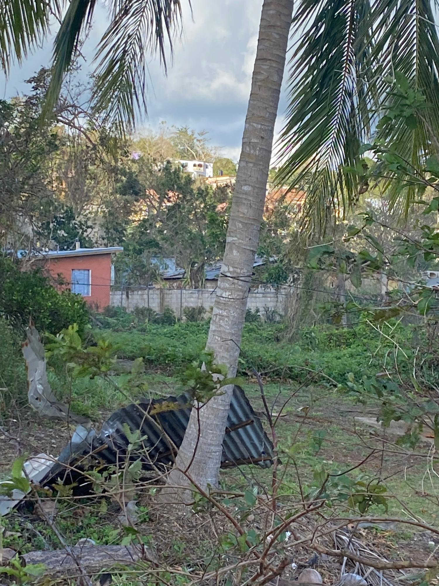 Eighth image of Comfort, Broadleaf in Broadleaf, Manchester, Jamaica - property is For Sale