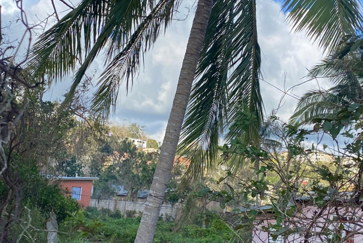 Ninth image of Comfort, Broadleaf in Broadleaf, Manchester, Jamaica - property is For Sale