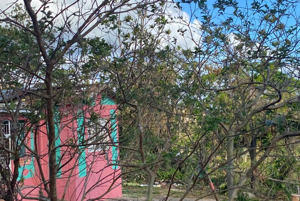 Tenth image of Comfort, Broadleaf in Broadleaf, Manchester, Jamaica - property is For Sale