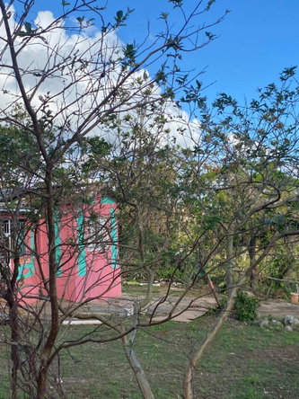 Tenth image of Comfort, Broadleaf in Broadleaf, Manchester, Jamaica - property is For Sale