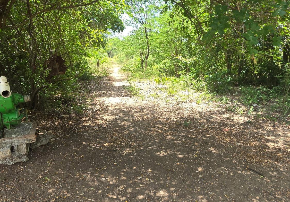 Eleventh image of Four Paths Main Road in Four Paths, Clarendon, Jamaica - property is For Sale