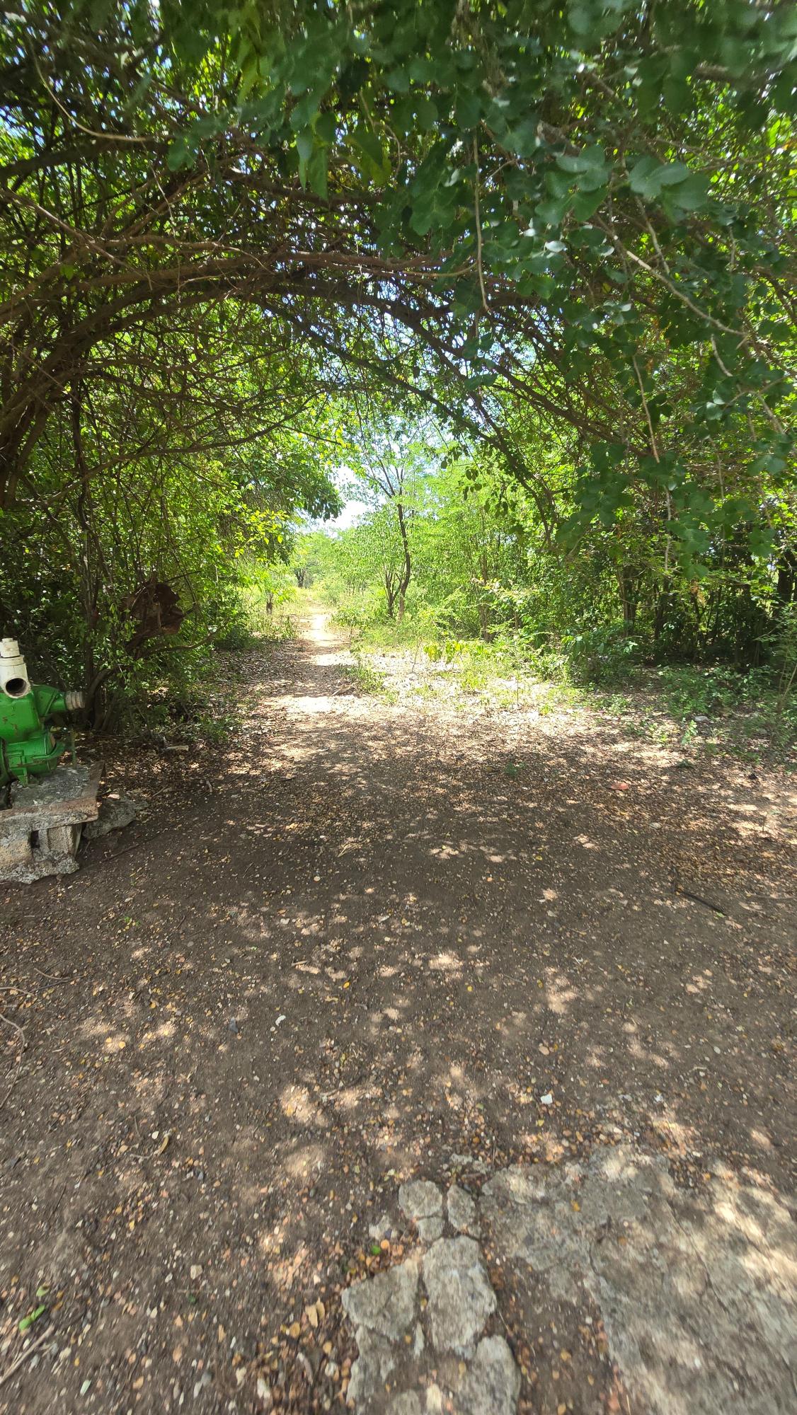 Eleventh image of Four Paths Main Road in Four Paths, Clarendon, Jamaica - property is For Sale