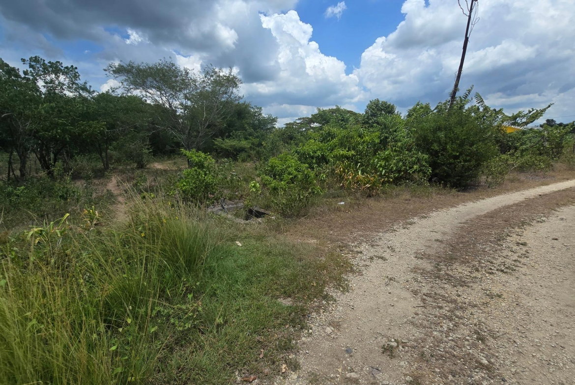 Twelfth image of Four Paths Main Road in Four Paths, Clarendon, Jamaica - property is For Sale