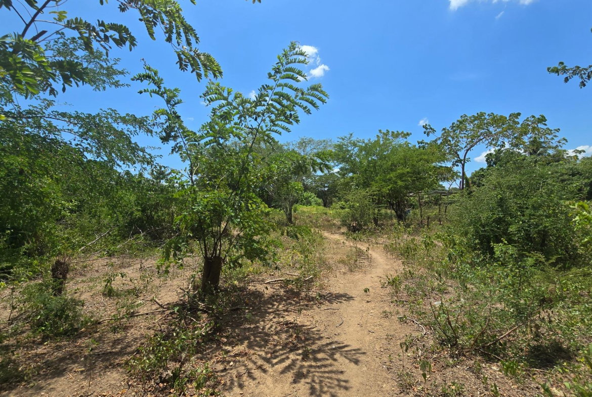 Fifteenth image of Four Paths Main Road in Four Paths, Clarendon, Jamaica - property is For Sale