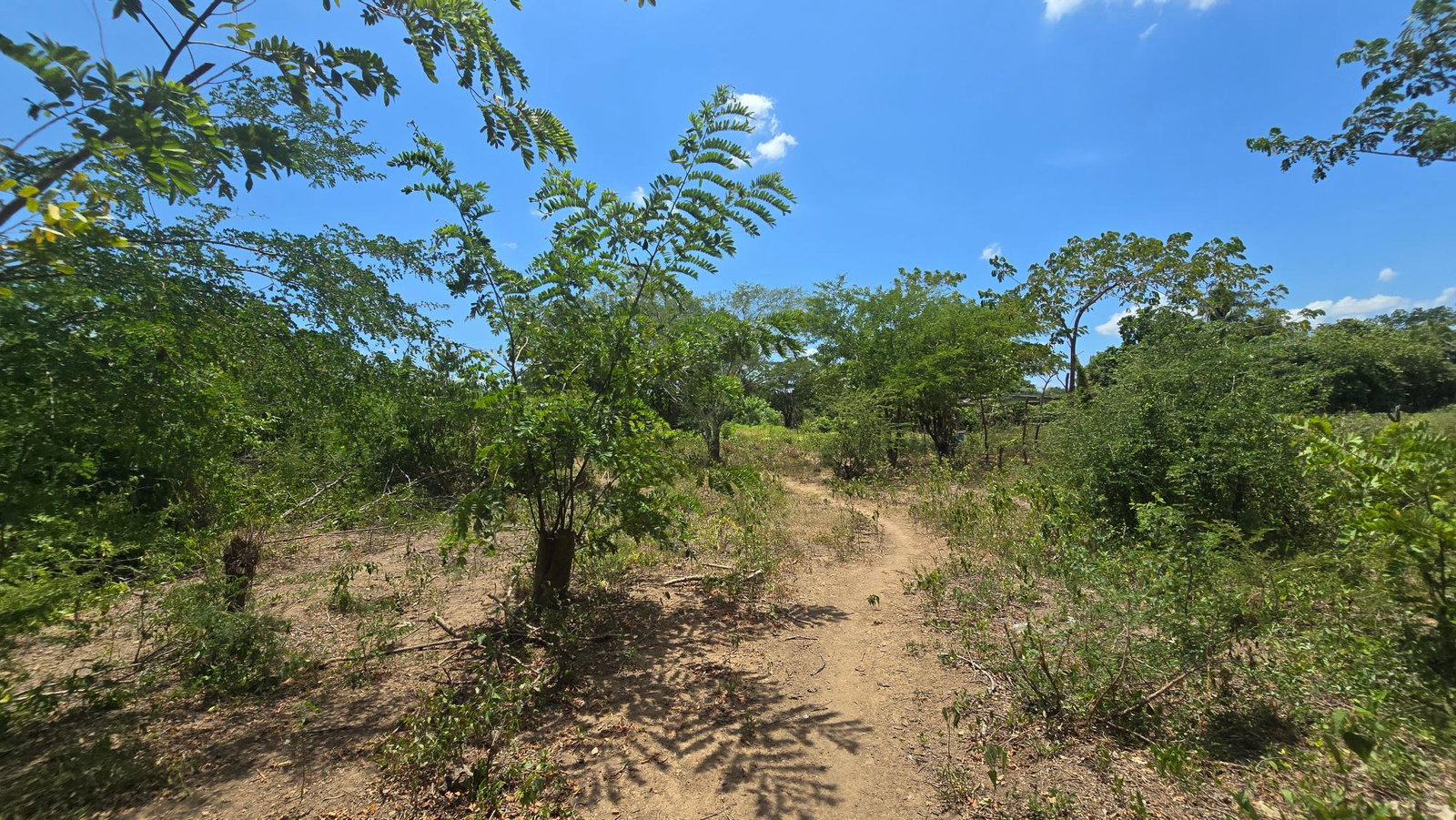 Fifteenth image of Four Paths Main Road in Four Paths, Clarendon, Jamaica - property is For Sale