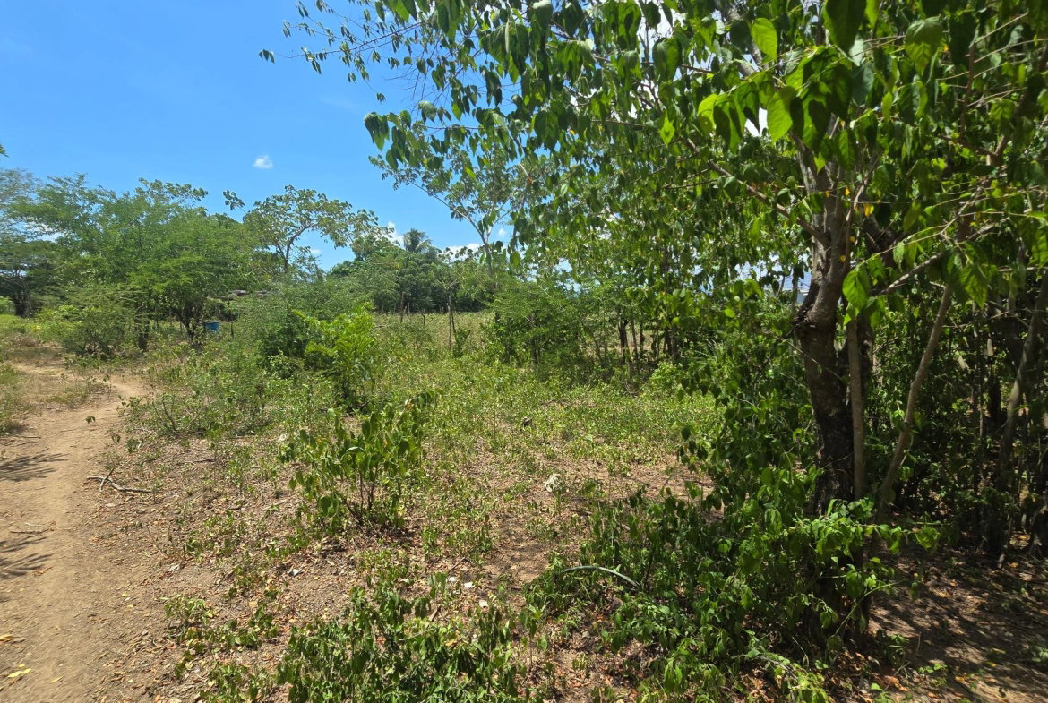 Sixteenth image of Four Paths Main Road in Four Paths, Clarendon, Jamaica - property is For Sale