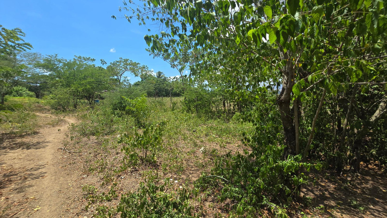 Sixteenth image of Four Paths Main Road in Four Paths, Clarendon, Jamaica - property is For Sale