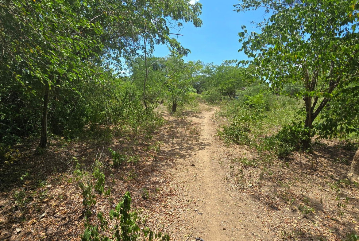 Seventeenth image of Four Paths Main Road in Four Paths, Clarendon, Jamaica - property is For Sale