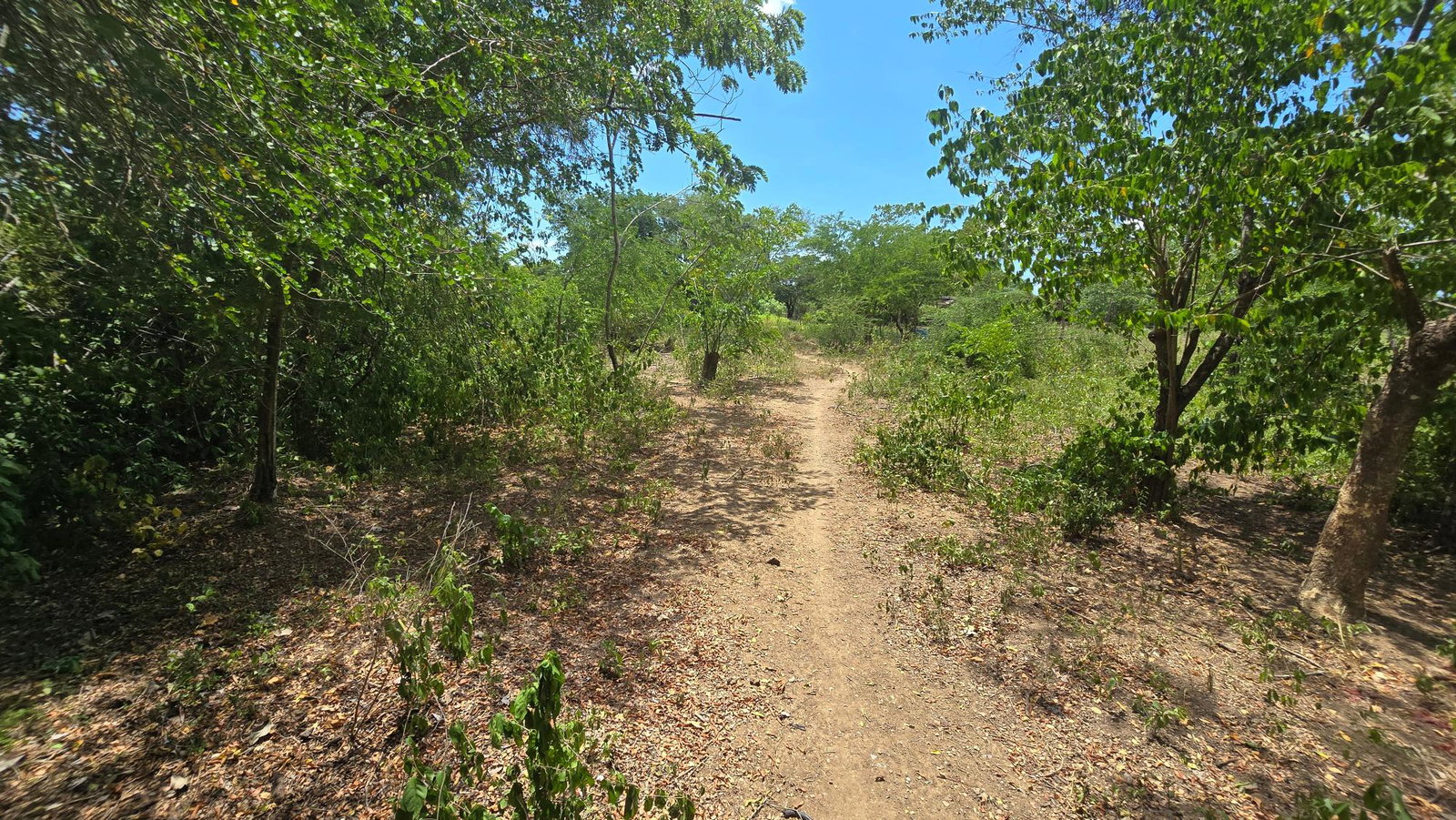 Seventeenth image of Four Paths Main Road in Four Paths, Clarendon, Jamaica - property is For Sale