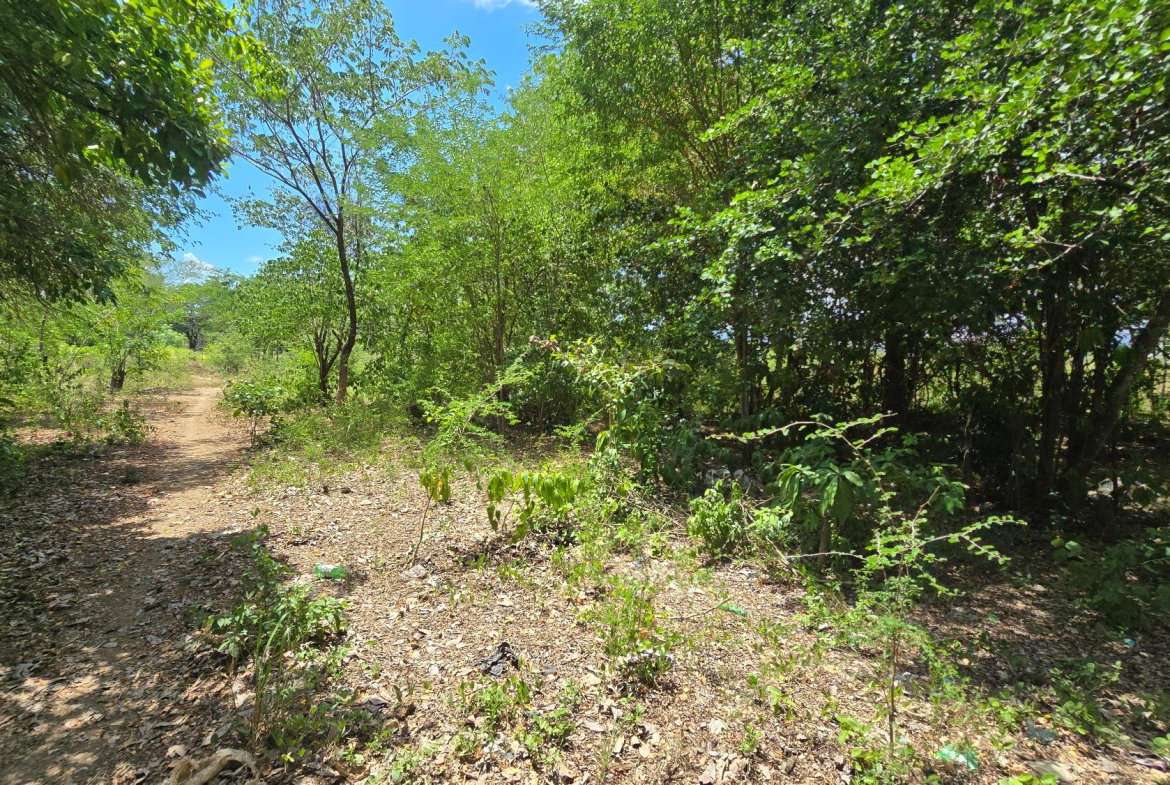 Eighteenth image of Four Paths Main Road in Four Paths, Clarendon, Jamaica - property is For Sale